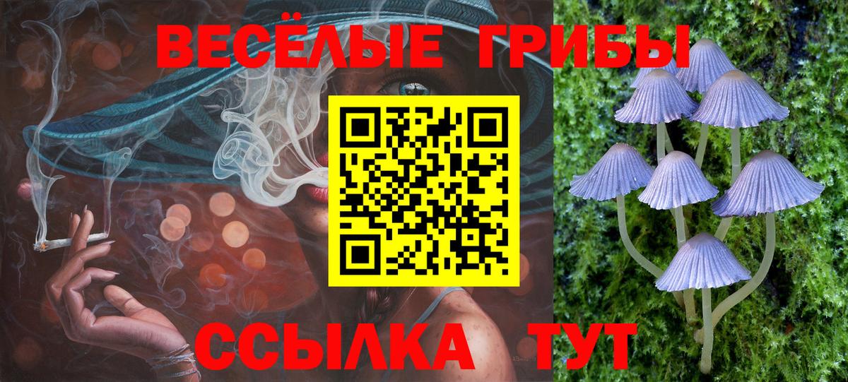 Псилоцибиновые грибы прущие грибы  Вход с VPN  как найти   Каменск-Шахтинский 